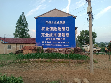 光山墙体广告的优劣势你知道吗?